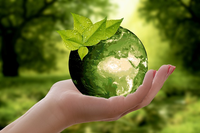 5 Eco-Friendly Ways to Save Money